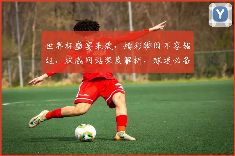 世界杯盛宴来袭，精彩瞬间不容错过，权威网站深度解析，球迷必备