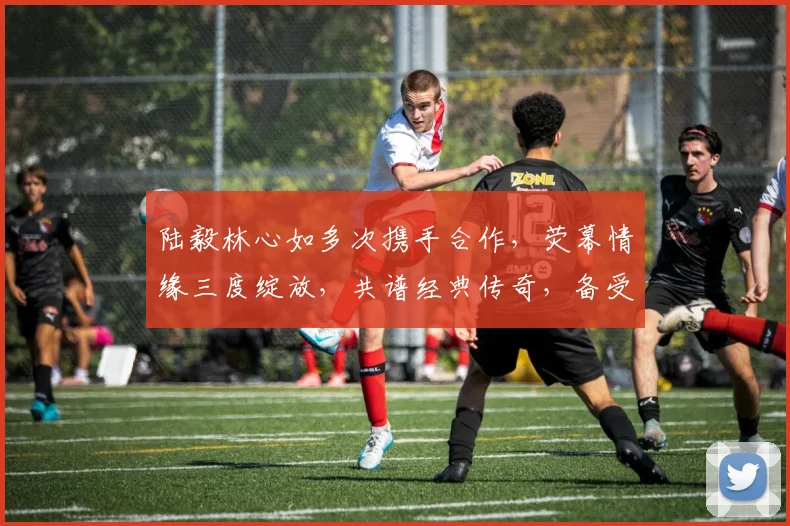 陆毅林心如多次携手合作，荧幕情缘三度绽放，共谱经典传奇，备受瞩目