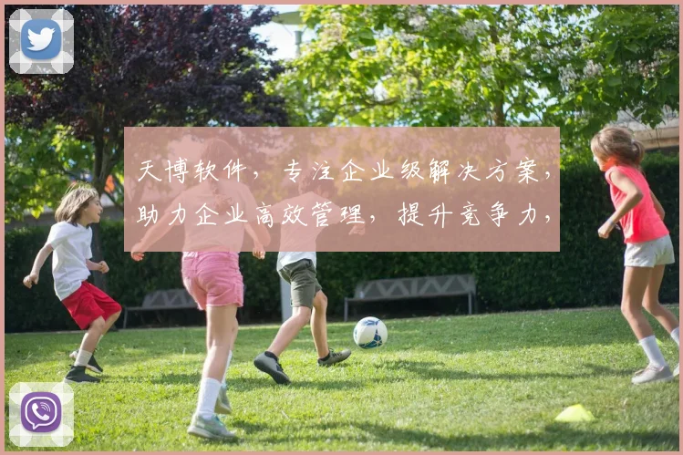 天博软件，专注企业级解决方案，助力企业高效管理，提升竞争力，专业可靠，首选之选
